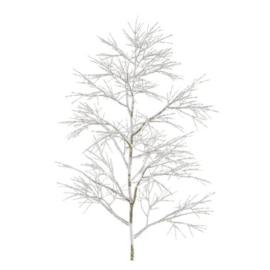 izole kar kış ağaç