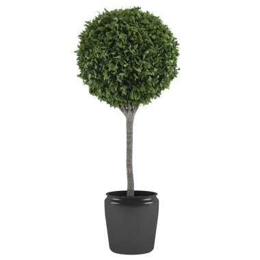 bahçevan ağaç pot