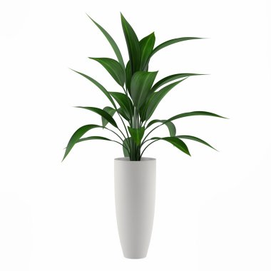 Plant isolated in the pot clipart