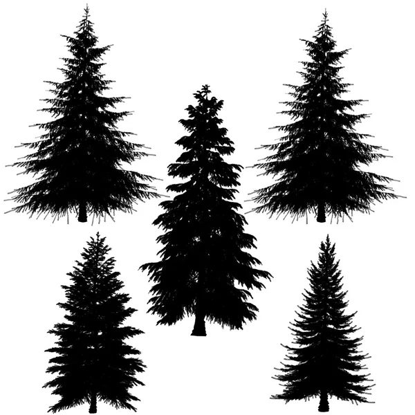 Tannenbaum-Silhouette — Stockfoto