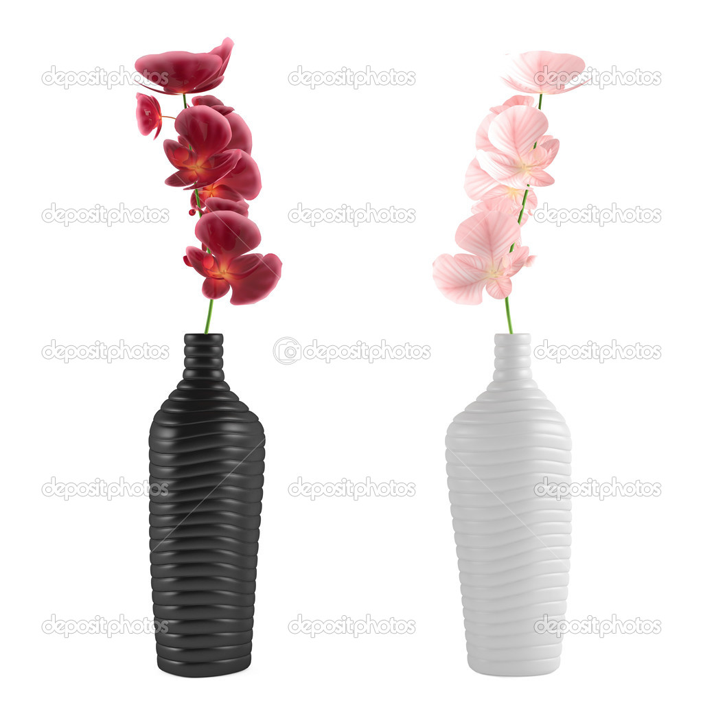 Orchid in white and black vase