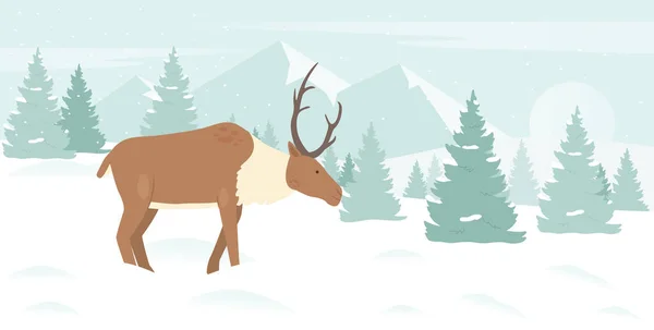 Jeleń w zimie śnieg górski krajobraz, śnieg Christmas Forest sceny z cute reniferów — Wektor stockowy
