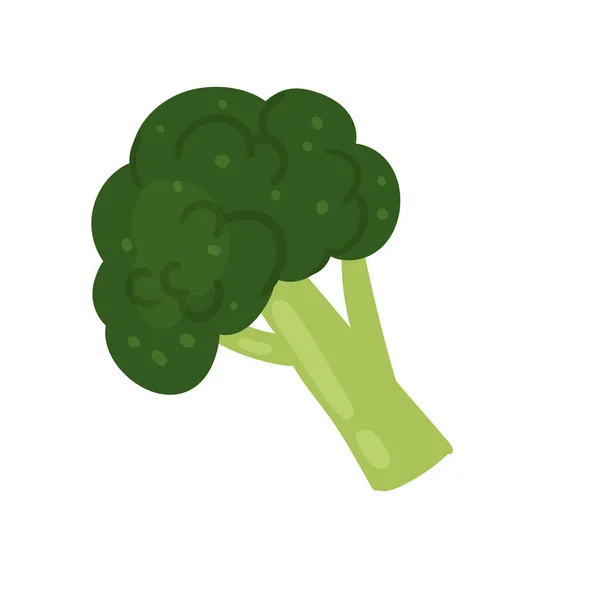 Repollo de brócoli, producto vegetariano vegetal, comida orgánica para una vida saludable — Vector de stock