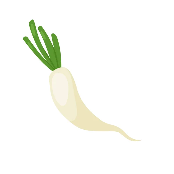 Daikon ředkvička zelenina čerstvý zeleninový produkt, ekologické syrové farmářské potraviny pro zdravou stravu — Stockový vektor