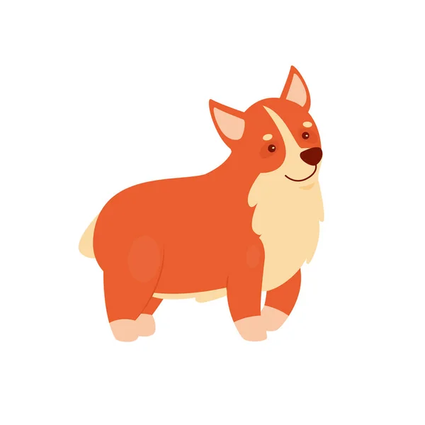 Cute smiling corgi puppy — Vetor de Stock