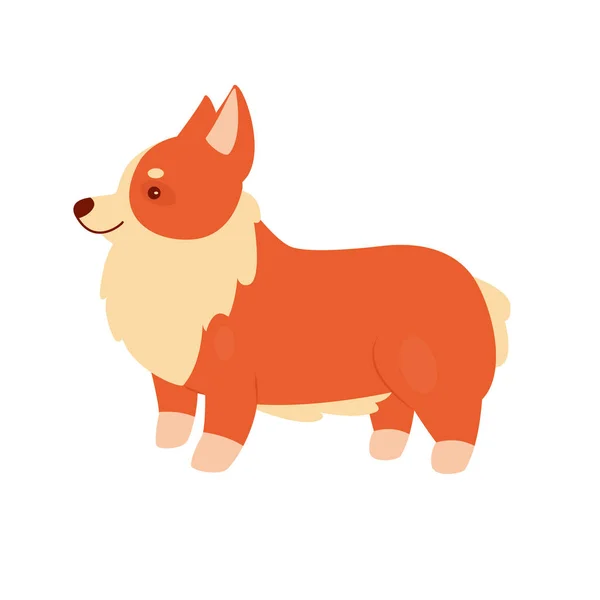 Cute corgi dog pet — Wektor stockowy