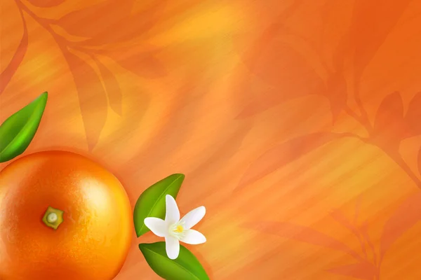 Vista superior laranja 3d fresca, silhuetas abstratas de galhos de laranjeira e frutas suculentas — Vetor de Stock