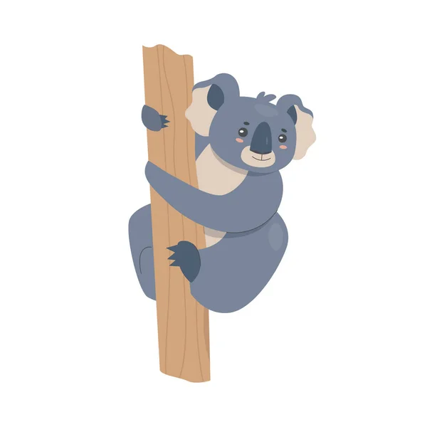 Koala Trepando Rama Del Árbol Vida Silvestre Animal Tropical Australiano — Vector de stock