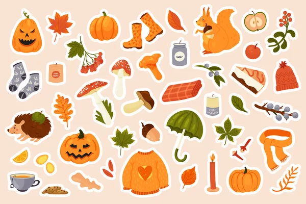 Autumn Stickers Pack Set Vector Illustration Cartoon Autumn Collection Fall — Stock Vector