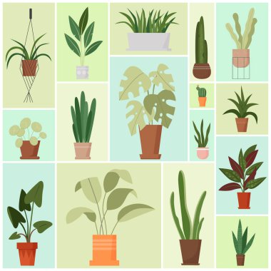 Saksıdaki ev bitkileri vektör illüstrasyonunu ayarlıyor. Çizgi film yeşil yapraklar, çiçek saksılarında taze bitkiler ve kapalı bahçe için ekiciler, geometrik kolaj arka planında modern iç dekorasyon.