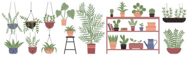 Green plants in pots set vector illustration. Cartoon flowerpots hanging in planter macrame on wall, cute houseplants growing on shelf or table, home garden decor collection isolated on white
