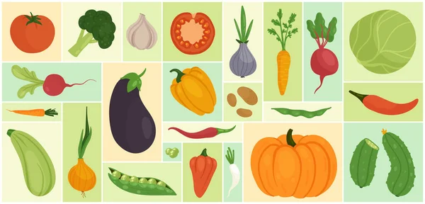 Vegetable Set Vector Illustration Cartoon Fresh Farm Food Ingredients Cooking — ストックベクタ