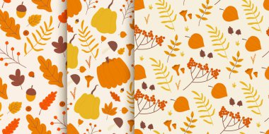 Orman mantarlı sonbahar çiçeği deseni, tatlı düşüşler vektör çizimleri. Çizgi film meşe palamudu, doğa çiçeği ve yapraklar, akçaağaç veya meşe yaprağı, kırmızı dut ve balkabağı ormanları dekoratif tasarım şablonu