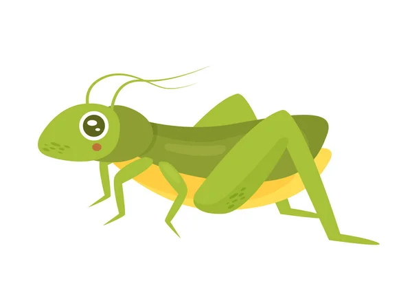 Grasshopper Locust Insect Jumping Wild Animal Biology Microorganism Vector Illustration — Stock Vector