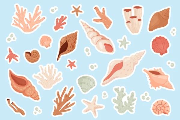 Cute Sea Shells Sticker Set Vector Illustration Cartoon Beach Underwater — Stockvektor