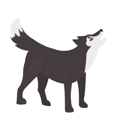 Howling wild wolf animal. Wildlife dog family member, forest predator vector illustration
