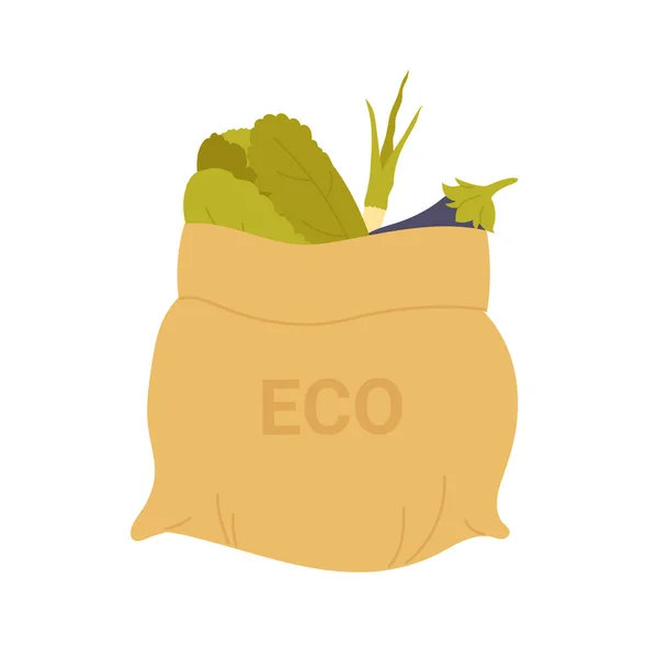 Eco Cotton Bag Grocery Eco Friendly Sack Zero Waste Products — стоковый вектор