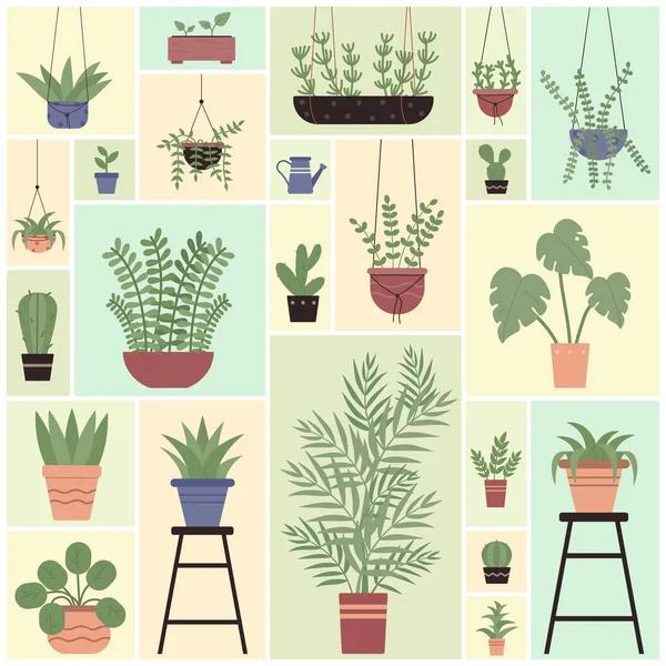 Green Plants Pots Set Floral Design Vector Illustration Cartoon Different — 图库矢量图片