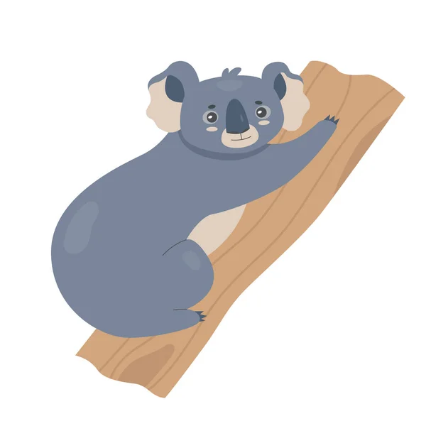 Αρκούδα Κοάλα Κάθεται Στο Δέντρο Αυστραλιανό Θηλαστικό Δενδρόβιο Μαρσιποφόρο Διανυσματική — Διανυσματικό Αρχείο