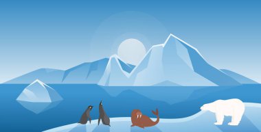 Arctic or Antarctica winter landscape with cute animals vector illustration. Cartoon funny polar bear, penguins and walrus floating on ice floe background. North and South Pole abstract nature concept