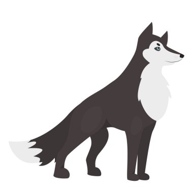 Wild wolf animal. Wildlife fauna, dog family member, large predator vector illustration