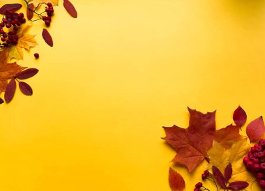 Sonbahar modunda. Beyaz arka planda sonbahar kurumuş yapraklardan yapılmış çerçeve. Sonbahar, sonbahar, Şükran Günü konsepti. Düz konum, üst görünüm, kopyalama alanı