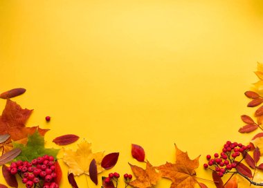 Sonbahar modunda. Beyaz arka planda sonbahar kurumuş yapraklardan yapılmış çerçeve. Sonbahar, sonbahar, Şükran Günü konsepti. Düz konum, üst görünüm, kopyalama alanı