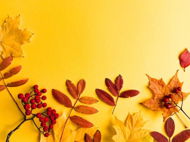 Sonbahar modunda. Beyaz arka planda sonbahar kurumuş yapraklardan yapılmış çerçeve. Sonbahar, sonbahar, Şükran Günü konsepti. Düz konum, üst görünüm, kopyalama alanı