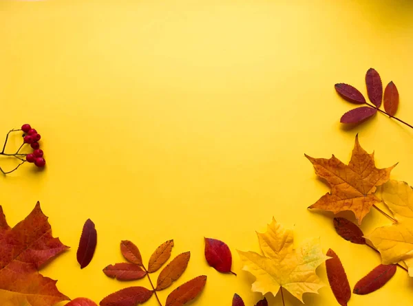 Autumn Mood Background Frame Made Autumn Dried Leaves White Background — Stock Photo, Image