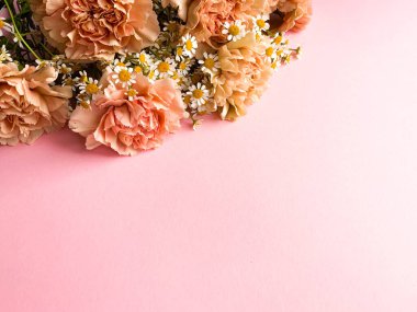 Pembe arka planda karanfilli sınır pankartı, üst manzara, kopyalama alanı. Yaz, bahar web pankartı arka planı, rahat düz yatak. Yat, üst manzara. Zarif çiçeklerle dolu bir kartpostal. Metin için yer