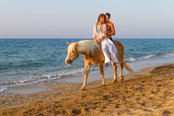 Couple attrayant avec un cheval sur la plage Image En Vente