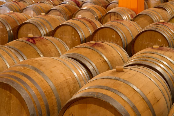 Oak wine barrels in a winery cellar