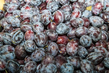 yerel pazarda olgun lezzetli sulu Erik