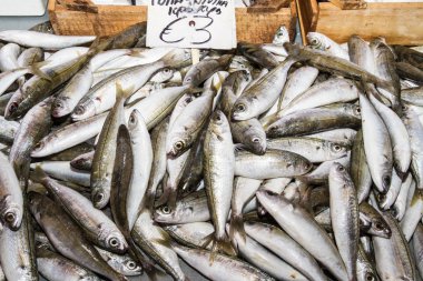 Yerel balık pazarında satışa taze balık yakalamak