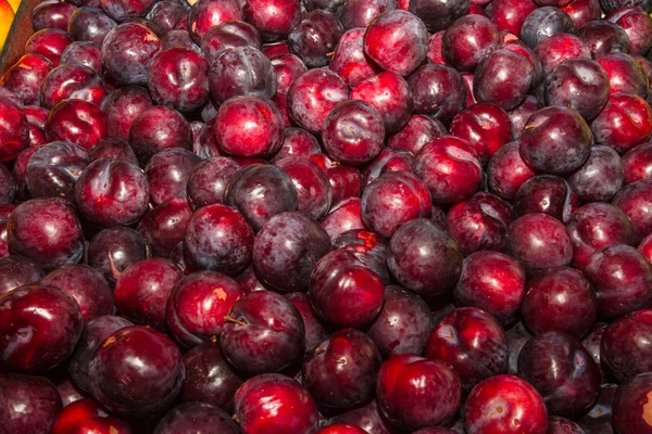 Delicious ripe juicy plums at local market — Stock Photo, Image