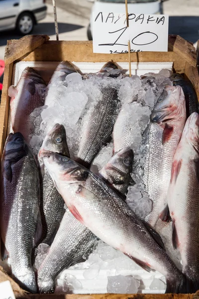 Capturas de peixe fresco à venda no mercado local de peixe — Fotografia de Stock