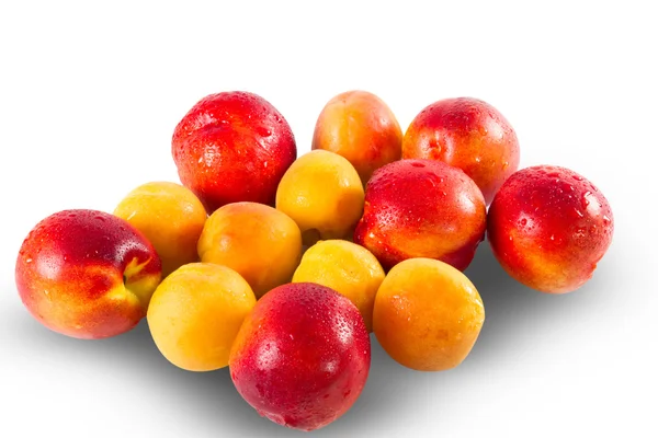 Fresh ripe Nectarines and appricottes — Stock Photo, Image