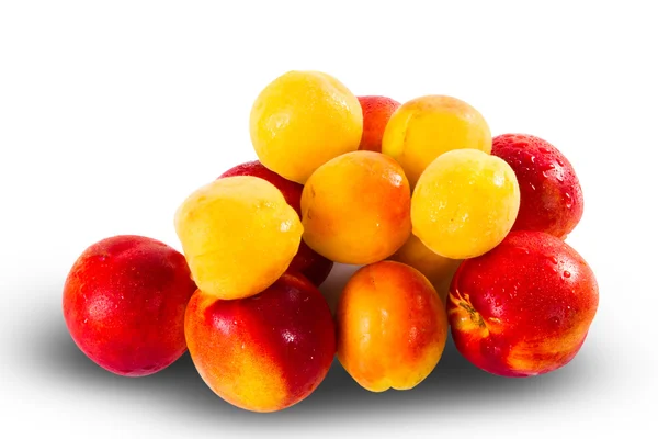 Fresh ripe Nectarines and appricottes — Stock Photo, Image