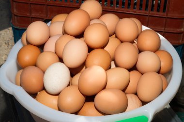 taze yumurta bir kase aldı.