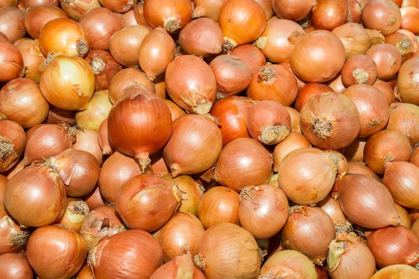 Fresh harvest of  juicy onions at  local fruit market — Stock Photo, Image