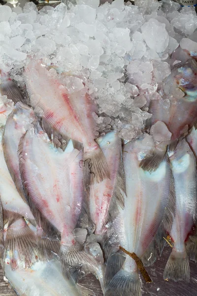 A tengeri lepényhal hal fogás friss. — Stock Fotó