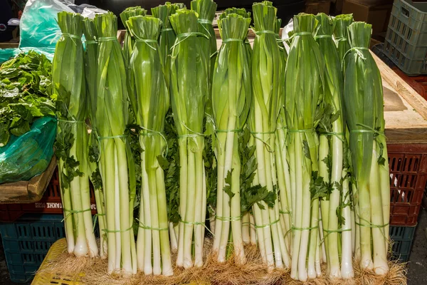 Nyplockade purjolök i buntar — Stockfoto