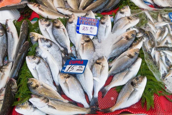 Färskt från havet braxen fisk fångsten. — Stockfoto