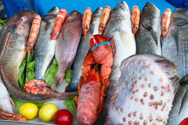 Färskt från havet fisk sorten. — Stockfoto