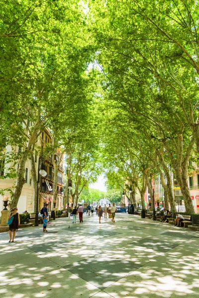 PALMA DE MALLORCA, BALEARIC ISLANDS, SPAIN JUNE 9, 2016: Famous Boulevard Born in Palma de Mallorca, Spain, Europe 로열티 프리 스톡 사진