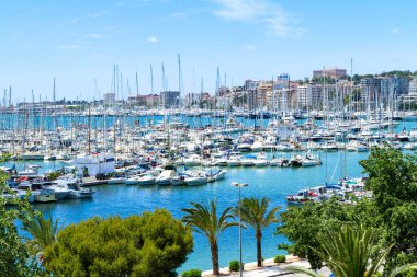 Palma de Mallorca Carrer Del Moll marinası yatlı gökyüzü