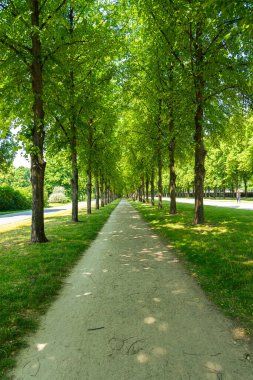 Yaz yeşili Baumallee gezinti yolu ünlü Georgengarten eğlence parkı, Hannover Almanya, yaz aylarında.