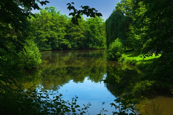 Luscious zelené stromy listí a letní modrá obloha odrazy v klidné jezerní vody. Georgengsrten park, Hannover, Geramany — Stock fotografie