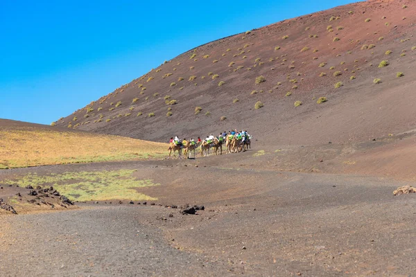 在西班牙加那利群岛兰萨罗特火山沙漠沙丘游览骆驼车队的身份不明游客 — 图库照片