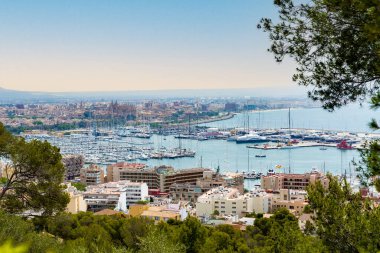Palma de Mallorca limanı ve marinası. Palma de Mallorca 'nın panoramik manzaralı limanı ve marinası, Balearic Adaları, İspanya. Seyahat yeri konsepti